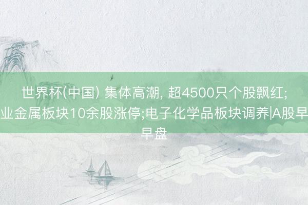 世界杯(中国) 集体高潮， 超4500只个股飘红;工业金属板块10余股涨停;电子化学品板块调养|A股早盘