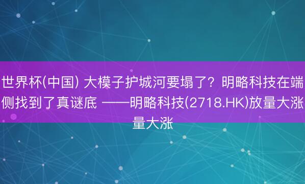 世界杯(中国) 大模子护城河要塌了？明略科技在端侧找到了真谜底 ——明略科技(2718.HK)放量大涨