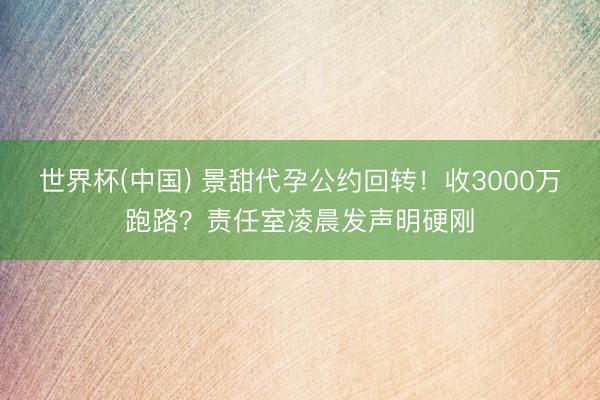世界杯(中国) 景甜代孕公约回转！收3000万跑路？责任室凌晨发声明硬刚