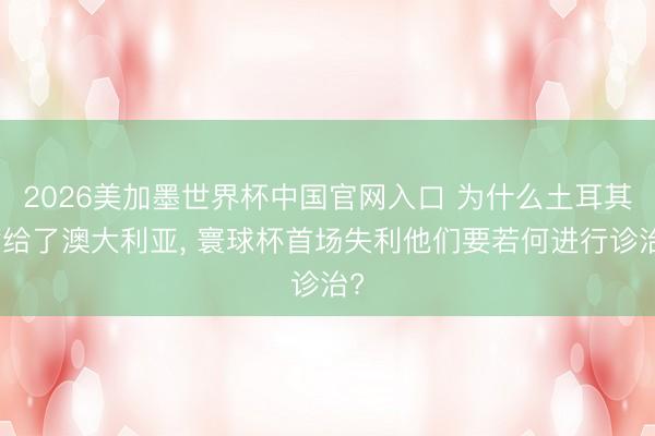 2026美加墨世界杯中国官网入口 为什么土耳其输给了澳大利亚， 寰球杯首场失利他们要若何进行诊治?