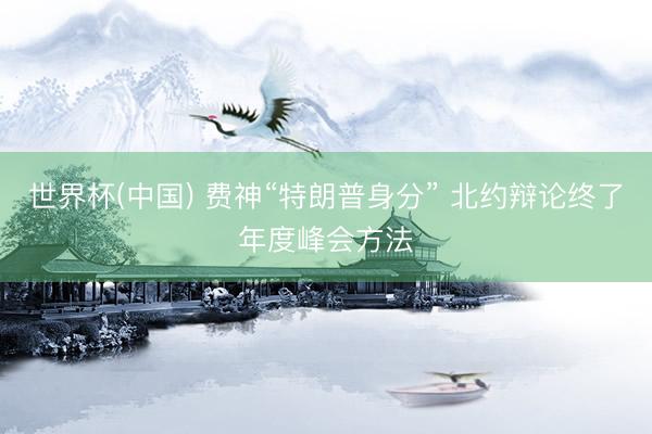 世界杯(中国) 费神“特朗普身分” 北约辩论终了年度峰会方法