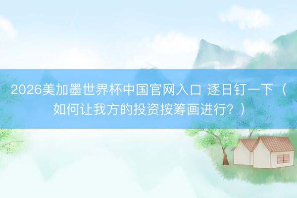 2026美加墨世界杯中国官网入口 逐日钉一下(如何让我方的投资按筹画进行?)