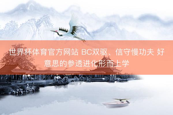 世界杯体育官方网站 BC双驱、信守慢功夫 好意思的参透进化形而上学