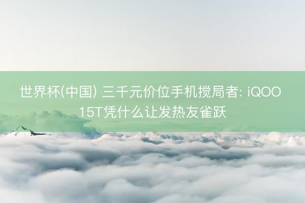 世界杯(中国) 三千元价位手机搅局者: iQOO 15T凭什么让发热友雀跃