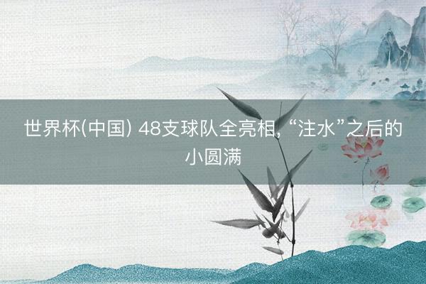 世界杯(中国) 48支球队全亮相， “注水”之后的小圆满